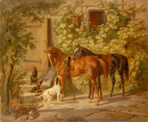 Pferde an der Veranda